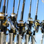 gold and silver fishing rods