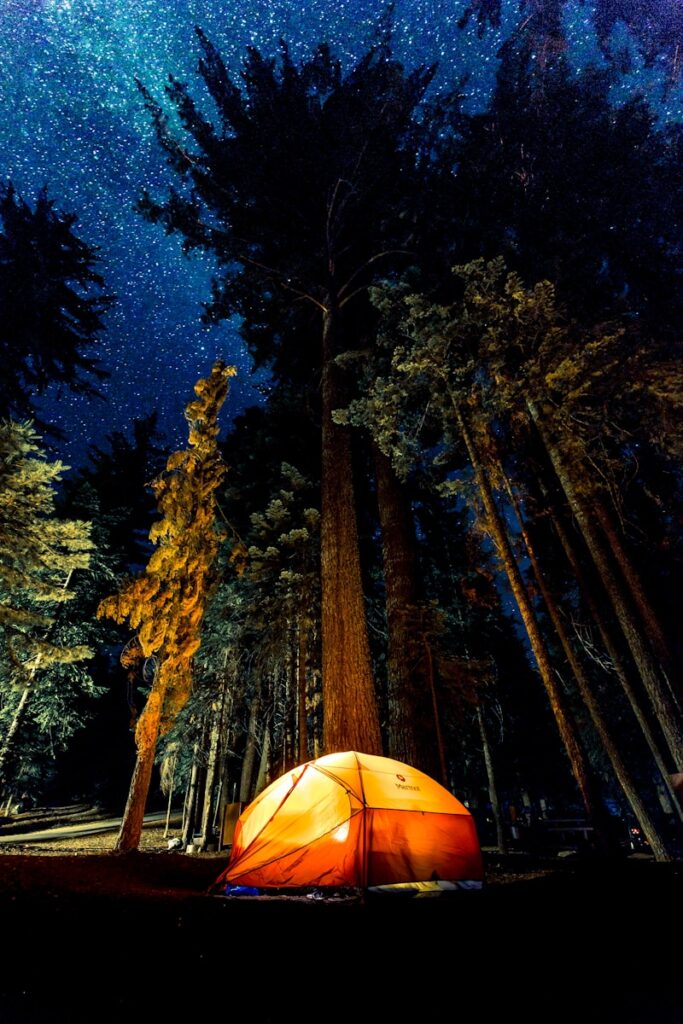 Top 10 Must-Have Camping Gear for 2025