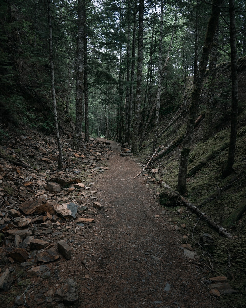 Hiker following a quiet mountain trail through a national park landscape