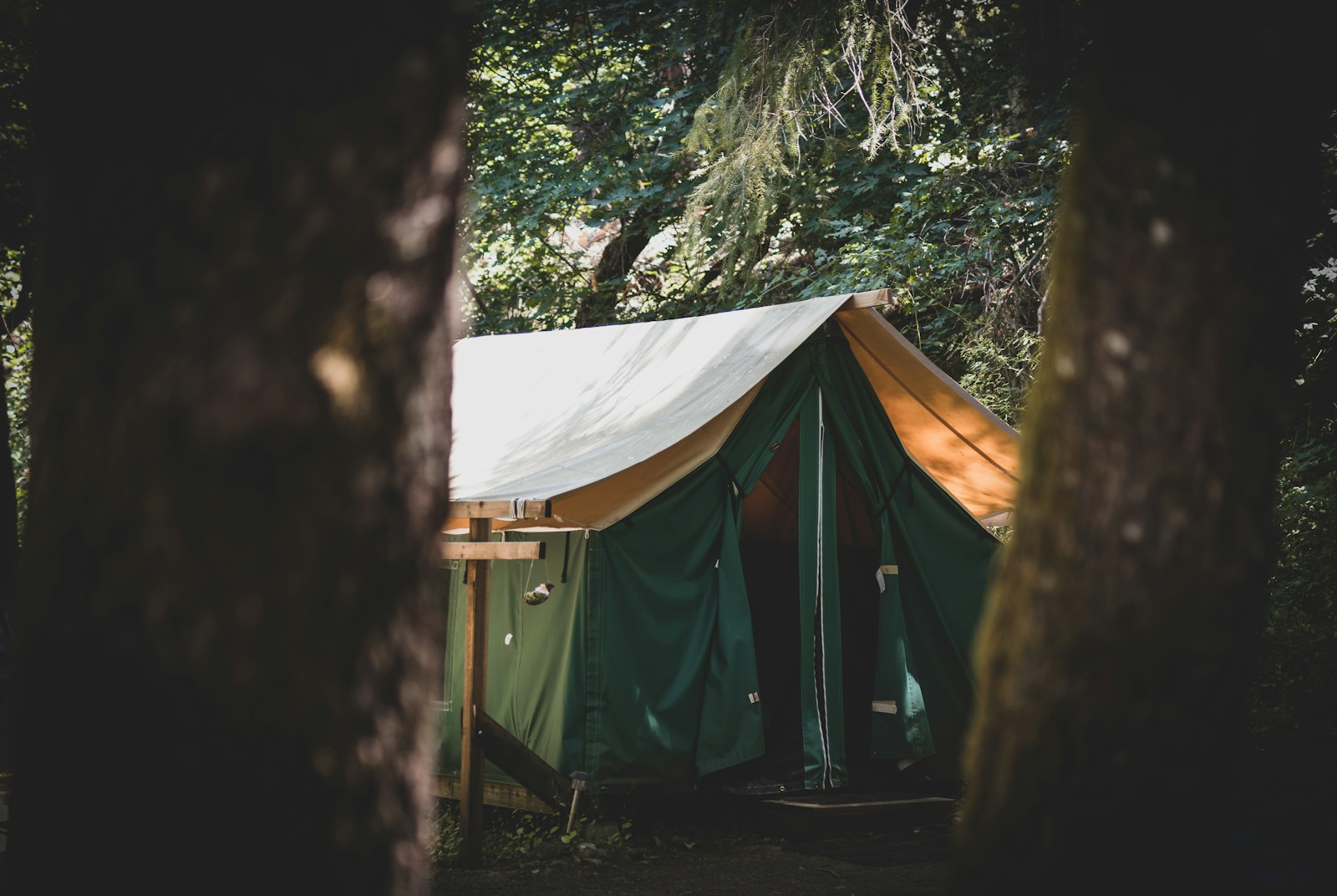 Camper packing up a clean forest campsite after a low-impact overnight trip