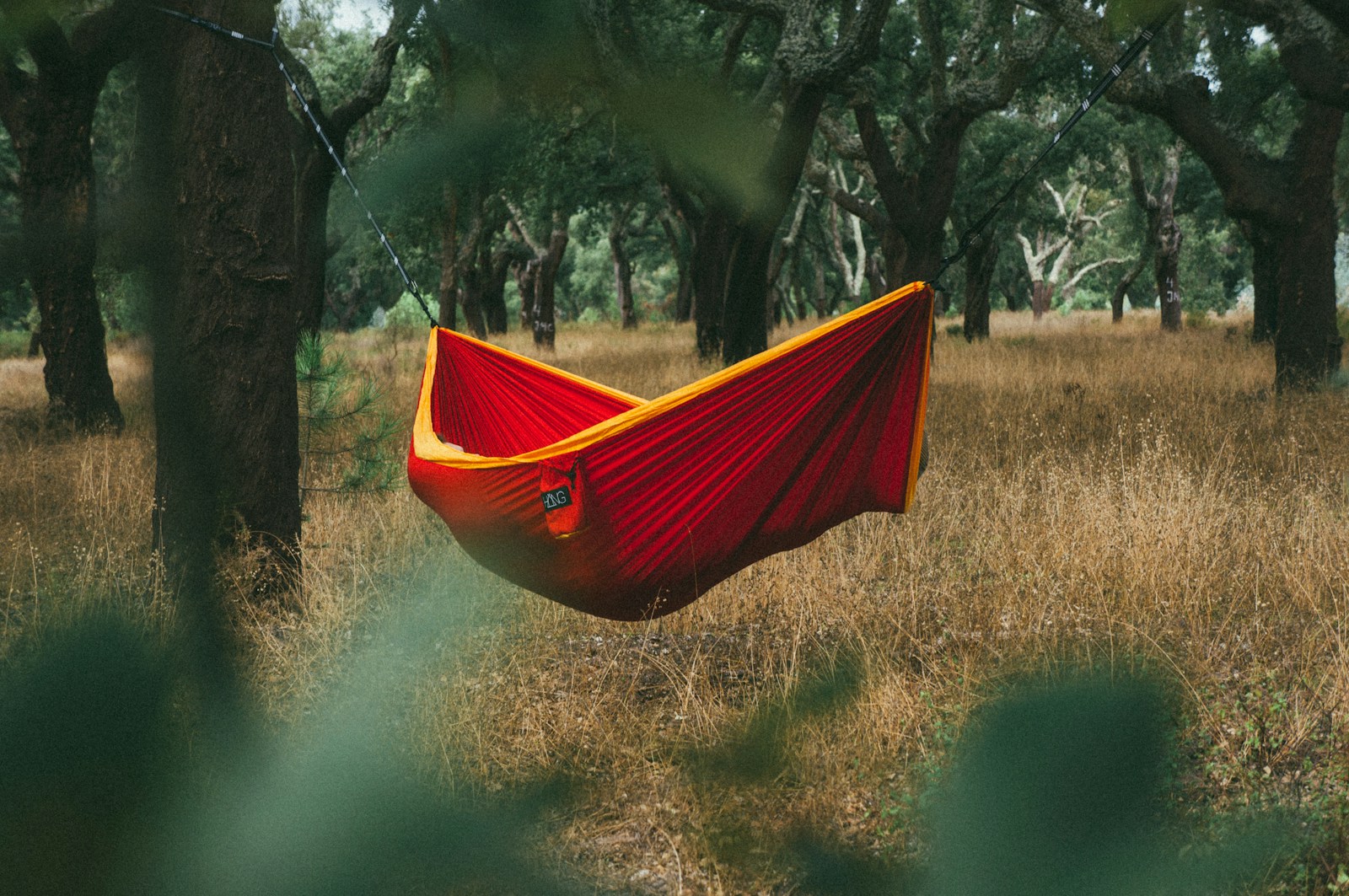 Camping hammock hung between healthy trees with wide straps, tarp, and overnight sleep gear