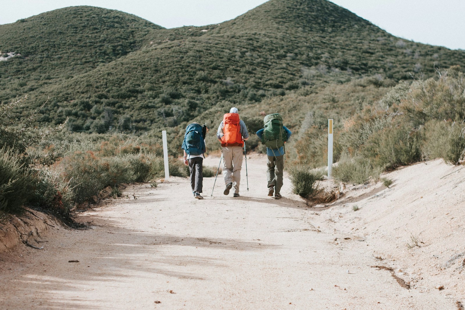 Hikers sharing a narrow trail while following right-of-way and low-impact trail etiquette.