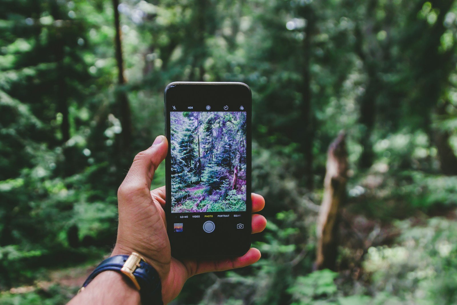 Hiker using a smartphone navigation app on a trail while carrying a paper map and compass as backup