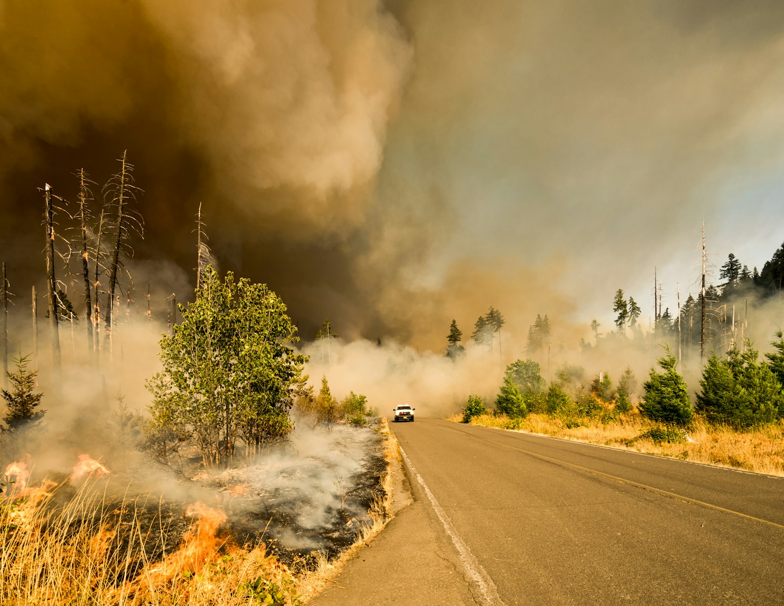 Camper using a small stove during dry Pacific Northwest wildfire season with campfires restricted