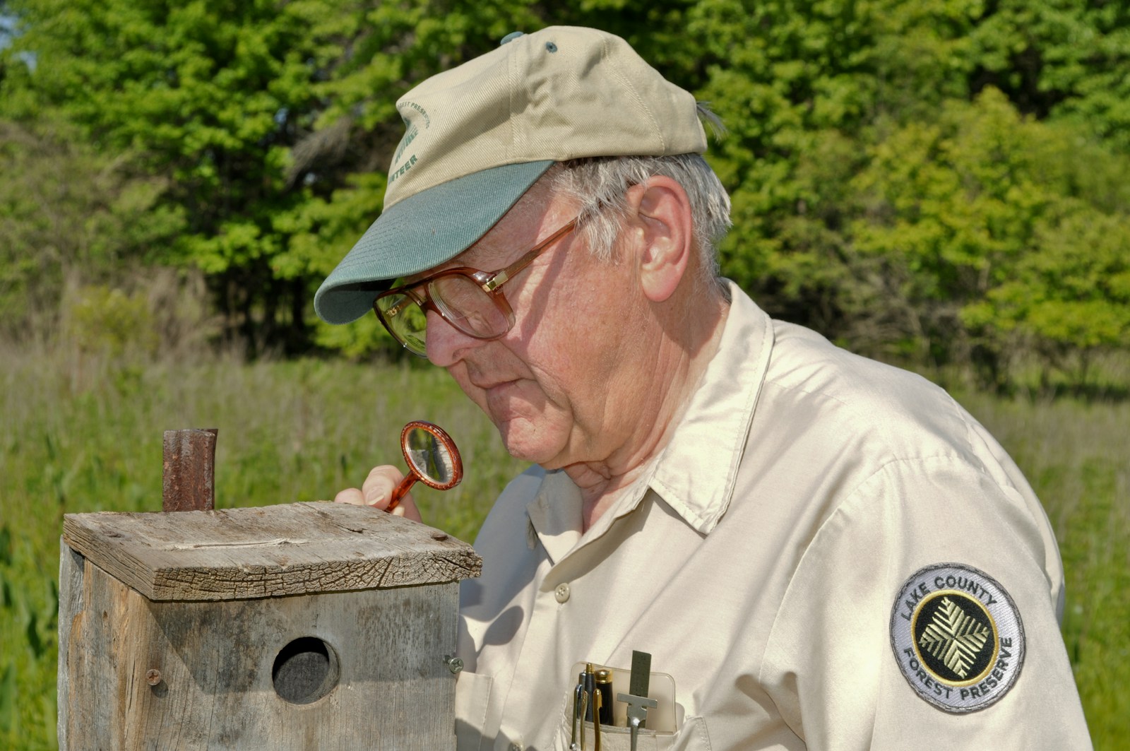 Wildlife conservationist recording field observations while working outdoors in natural habitat