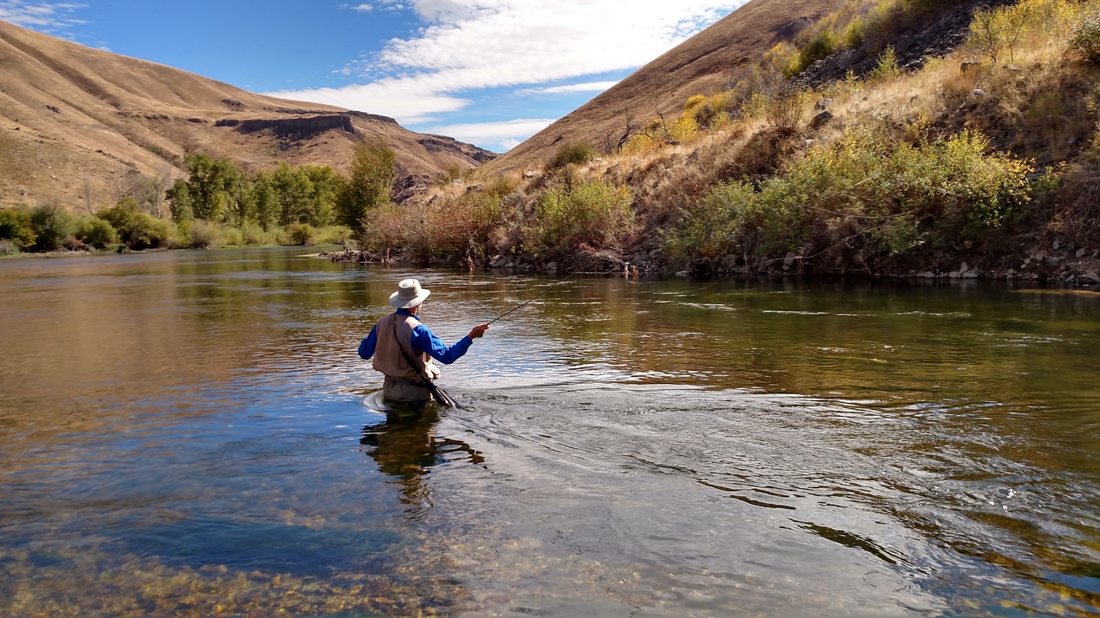 Fly angler casting a fly line across a clear river