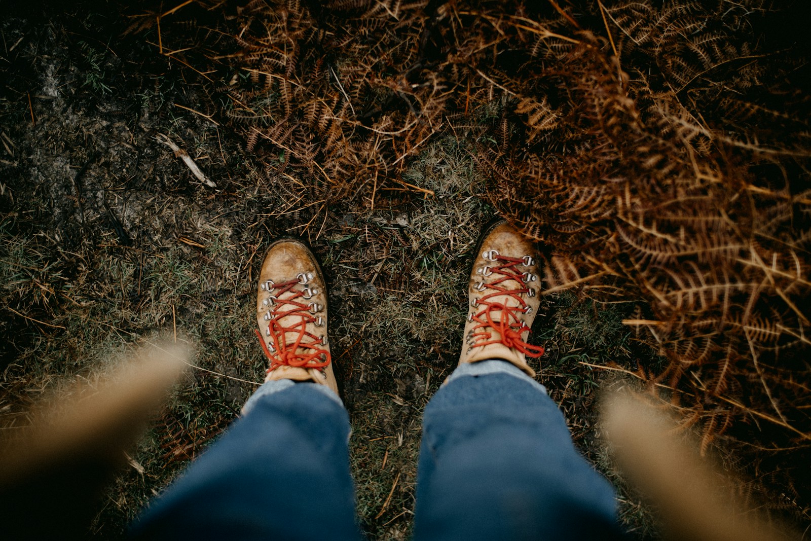 Blundstone Chelsea boots worn on a dry, easy hiking trail