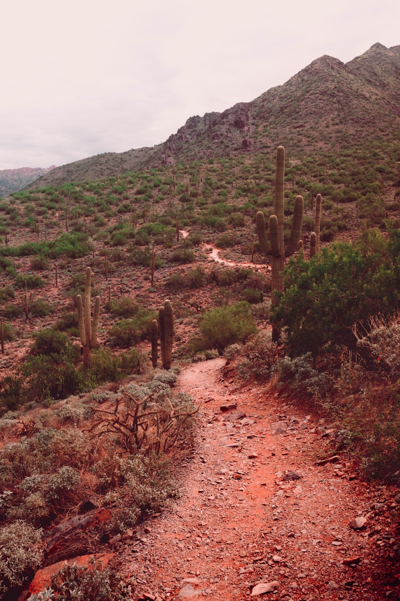 Hiker wearing lightweight sun-protective clothing and breathable gear on a hot summer trail