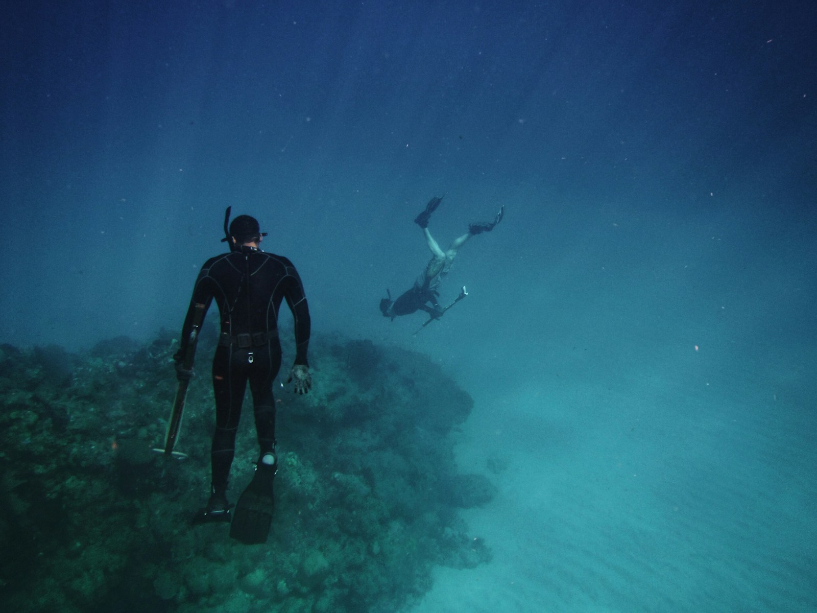 Spearfishing diver swimming near a visible dive flag and safety float