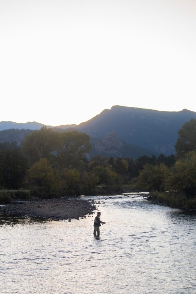 Angler fishing a clear Colorado mountain river during summer with forested peaks in the background