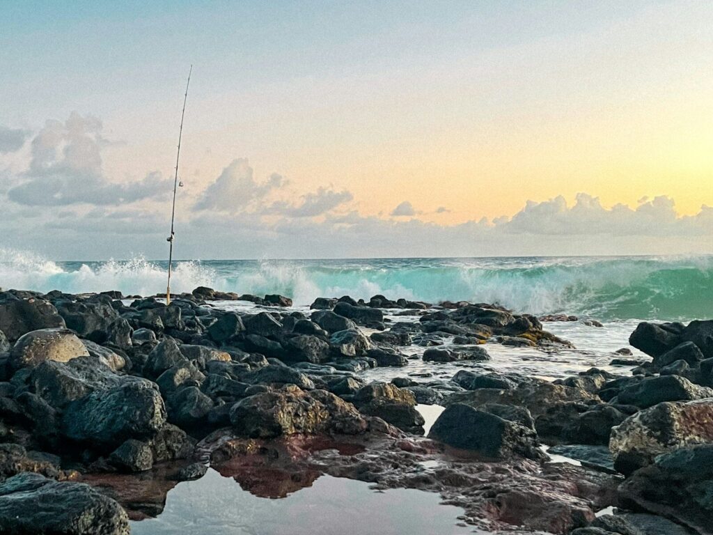 Angler fishing from a rocky Hawaiian shoreline beside clear ocean water