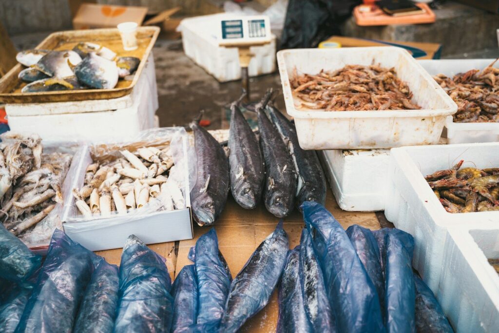 Fresh fishing bait and tackle prepared for an angler heading to a local lake or river