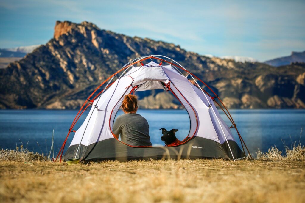 WiFi When Camping: How to Get Online Without Ruining the Point of the Trip