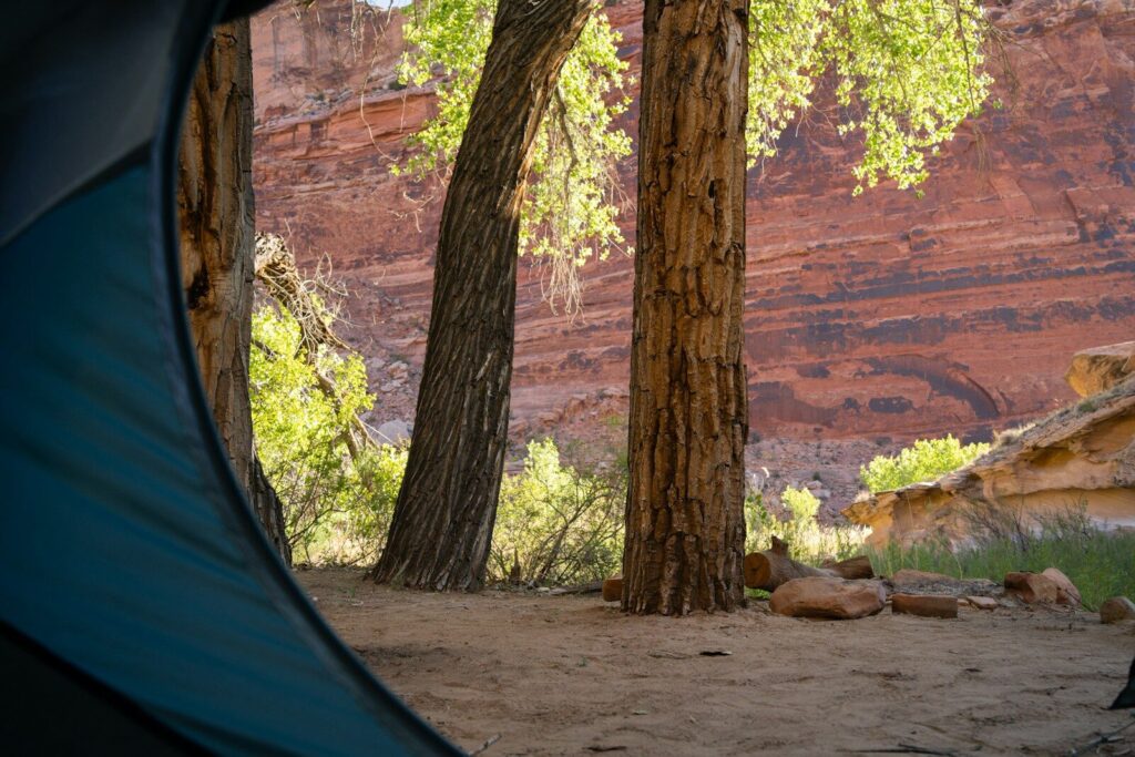 Where Can You Go Camping for Free? Public Lands and Legal Places Across America
