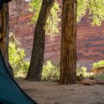 Where Can You Go Camping for Free? Public Lands and Legal Places Across America